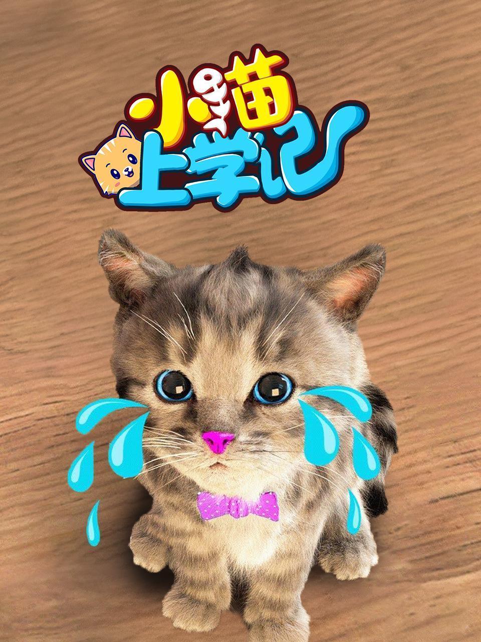 小猫上学记