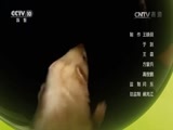 自然传奇 《自然传奇》 20170730 动物欢乐瞬间