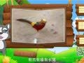 看图识物 鹌鹑 锦鸡 兀鹫