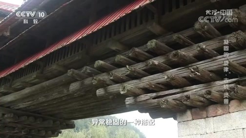 地理中国 《地理·中国》 20200517 凝固的“旋律”·古桥“灵兽”