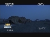 军事纪实 《军事纪实》 20140821 2014暑期特别节目 军演时刻④ 戈壁滩铸剑行动（上）