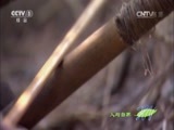 人与自然 《人与自然》 20141029 自然发现：人类星球——草原（上）