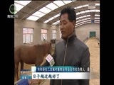 青海新闻联播 《青海新闻联播》 20170405