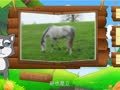 看图识物 狗 马 牛