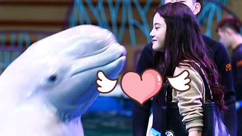 第10期：SNH48和白鲸玩亲亲超甜