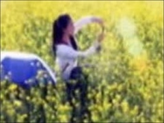 经典传奇 油菜田里的怪圈