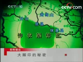 走近科学 大脚印的秘密