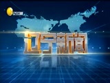 辽宁新闻 《辽宁新闻》 20170108