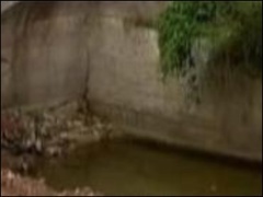 蛇蟠岛“诡异洞窟”之谜