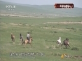 体育在线 《体育在线》 20150806 草原大赛马