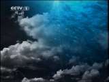 人与自然 《人与自然》 20110718 人这种动物——人类的城市
