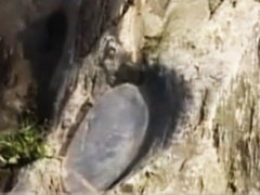 经典传奇 诡异“仙人印”之谜