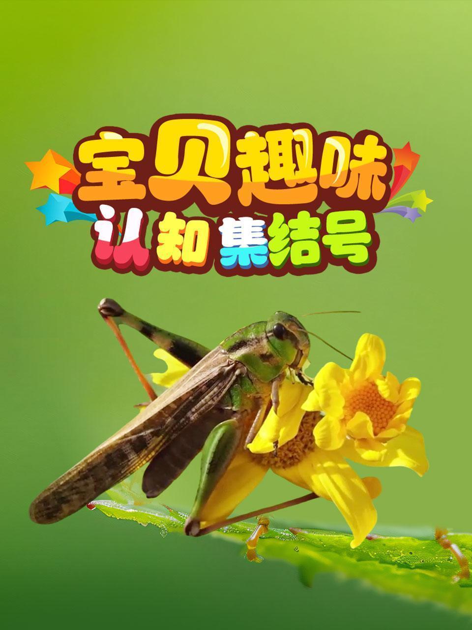 宝贝趣味认知集结号