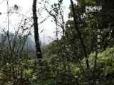 地理中国 《地理中国》会“唱歌”的石头 20150820