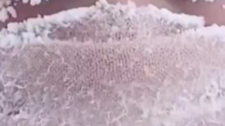 要闻主菜单 俄罗斯现-67℃极寒天气