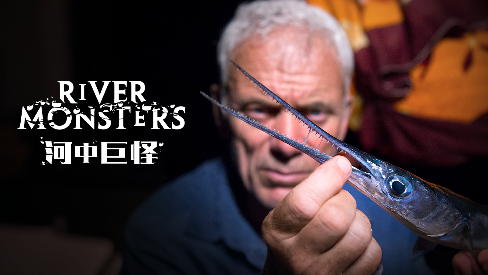 珊瑚礁杀手