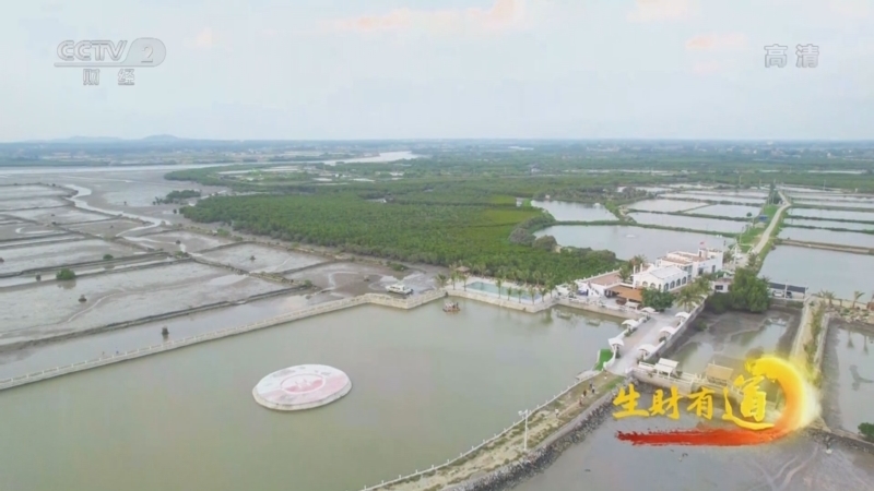 生财有道 《生财有道》 20220525 生态中国沿海行——凭海临风处 小岛慢生活