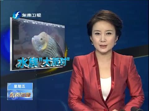 东南晚报 《东南晚报》 20141107