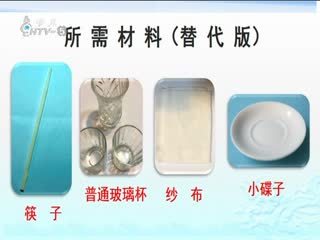 名师公开课 《晶体的制作《六下“微小世界”》》授课教师：吴晓