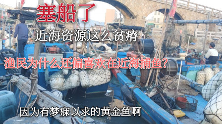 南澳岛赶海日记 近海资源这么贫瘠，渔民还偏偏喜欢在近海捕鱼，因为这里有梦寐以求的黄金鱼