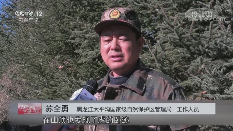 热线12 《热线12》 20201102