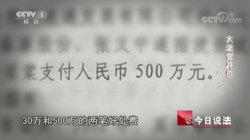 今日说法 《今日说法》 20181205 大法官开庭 归来（下）
