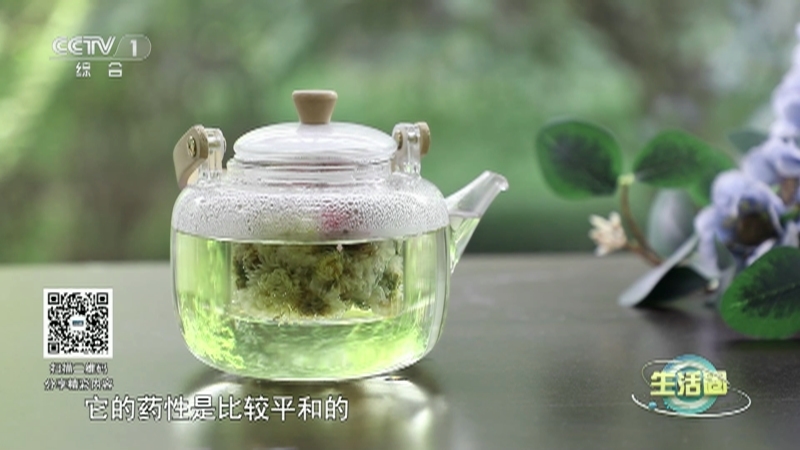 生活圈 《生活圈》 20230608