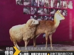 经典传奇 动物王国的奇幻之恋