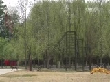 谁是终极英雄 《谁是终极英雄》 20170430 犬王争霸（下集）