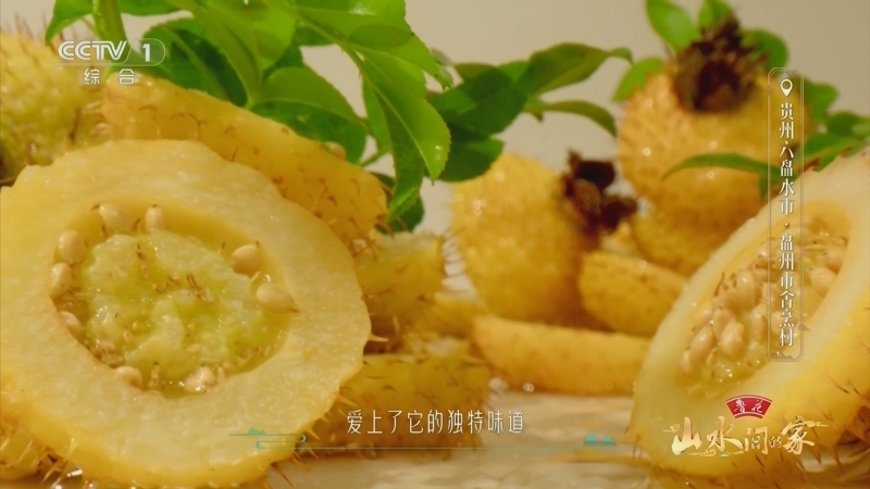 《山水间的家》第三季 20241110