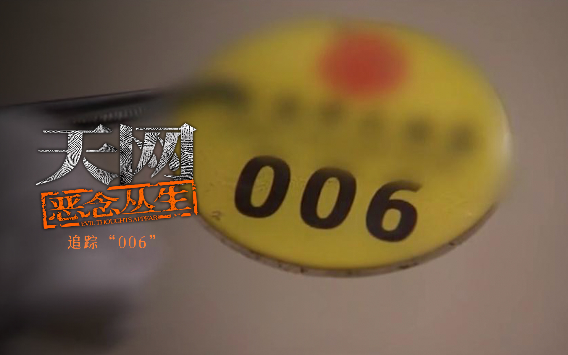 天网：恶念丛生 追踪“006”