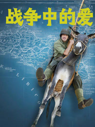 战争中的爱（2016）