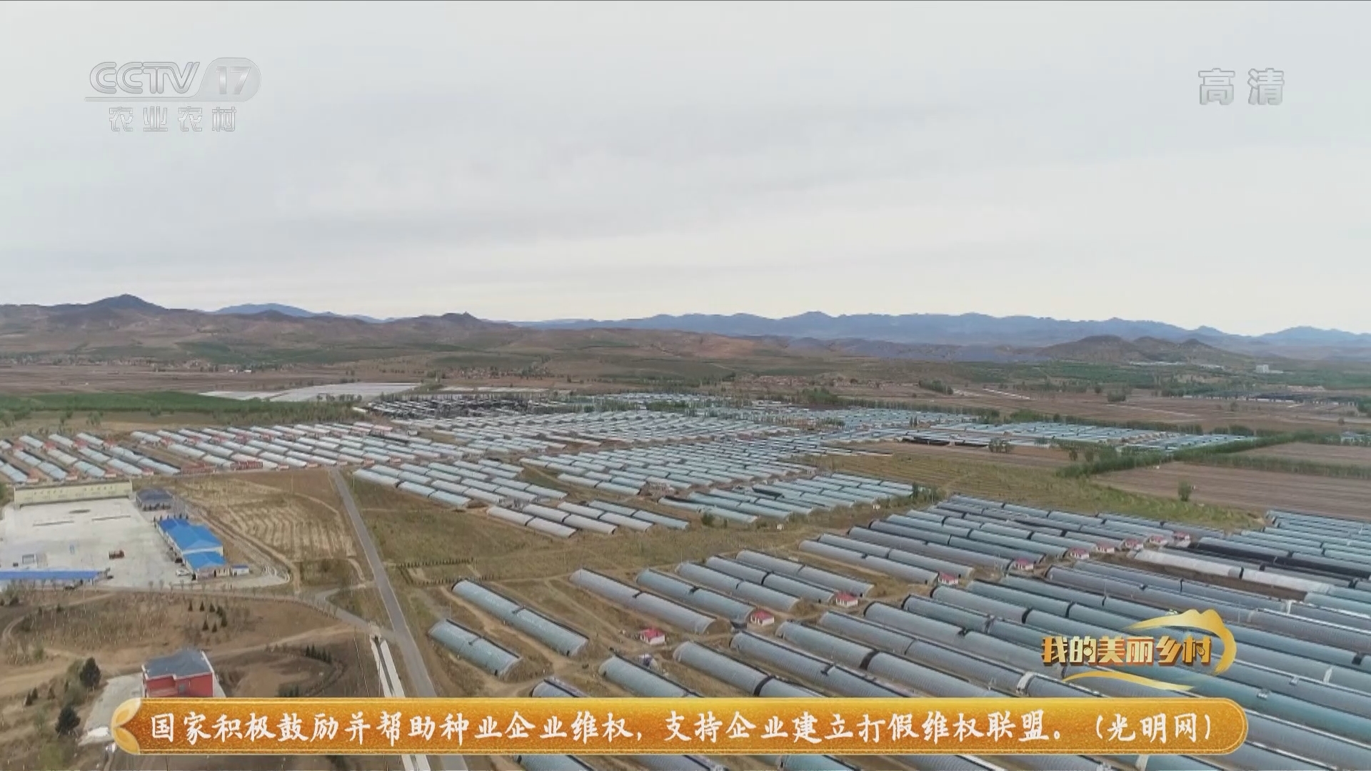 《我的美丽乡村》 20211223 西山根的三张名片