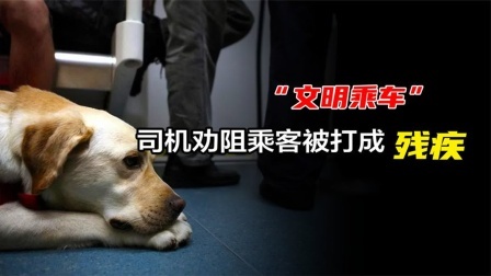 品人生百味第二季 男子抱狗乘坐公交车，司机劝阻后被打成残疾，他为何如此嚣张？