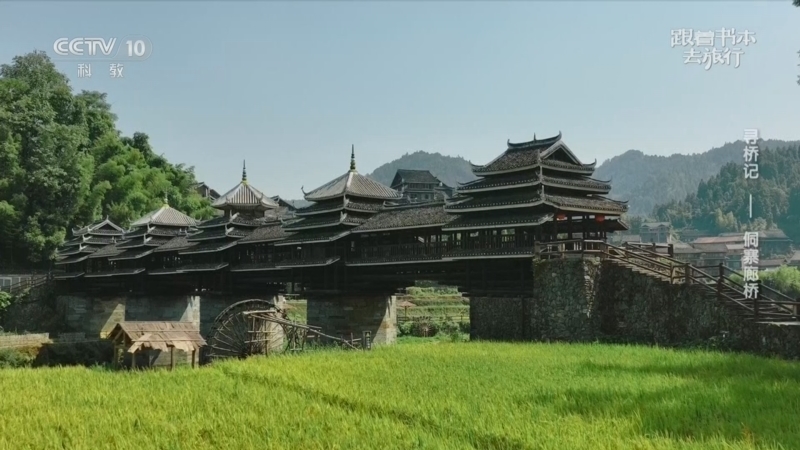 跟着书本去旅行 《跟着书本去旅行》 20260804 寻桥记——侗寨廊桥