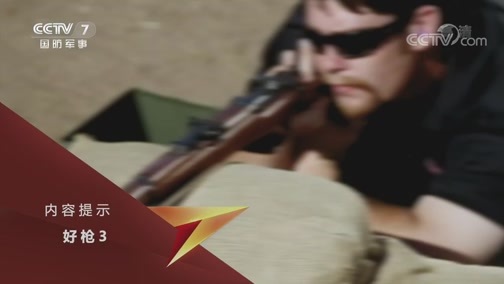 兵器面面观 《兵器面面观》 20191011 好枪3