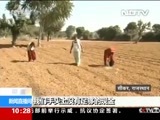 新闻直播间 《新闻直播间》 20161123 10:00