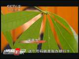 消费主张 消费主张 2010-10-19