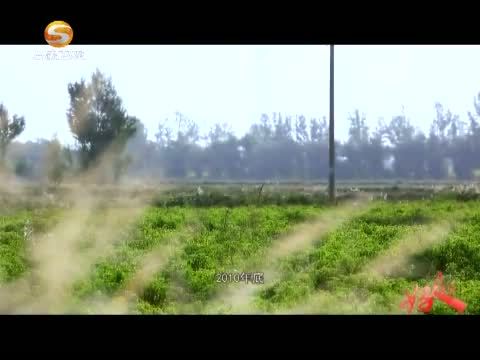 好人在身边 《好人在身边》 20150801 营盘村的“一把手”