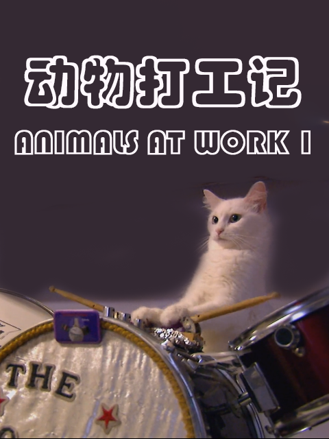 动物打工记 第一季 海报