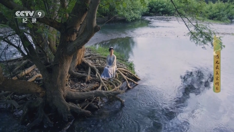 《遇见最美宋词》 第6集 一蓑烟雨任平生
