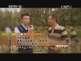 生财有道 《生财有道》 20140102 向戈壁滩进军的种枣人