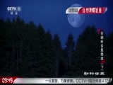 动物世界 《动物世界》 20161230 穿越时空觅恐龙（下）
