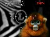 动物世界 《动物世界》 20110817