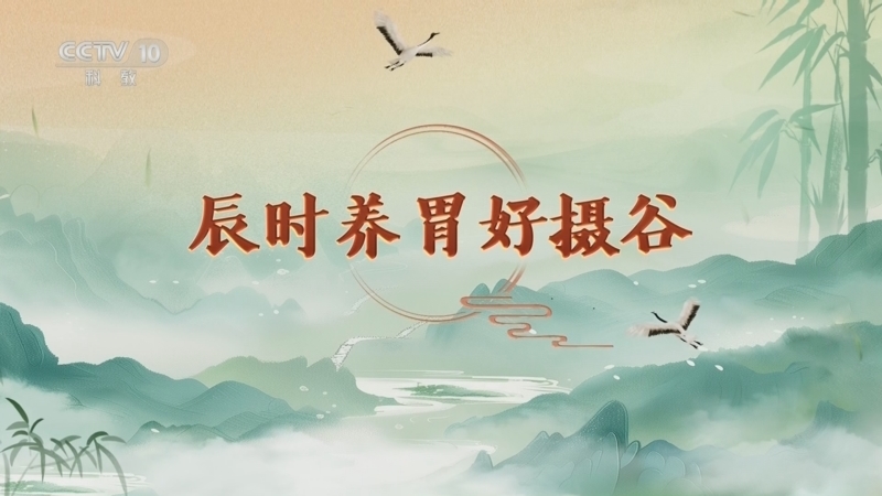 百家讲坛 《百家讲坛》 20260327 延年益寿话养生（第二部）13 辰时养胃好摄谷