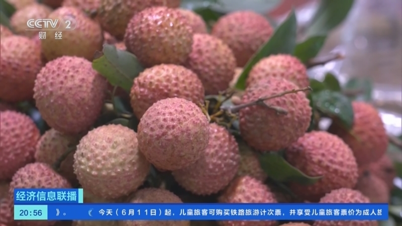 经济信息联播 《经济信息联播》 20260611