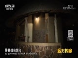 远方的家 《远方的家》 一带一路（402） 南非 野生动物的家园 20180725