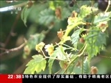 新闻周刊 《新闻周刊》 20160521