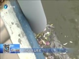东南晚报 《东南晚报》 20160402