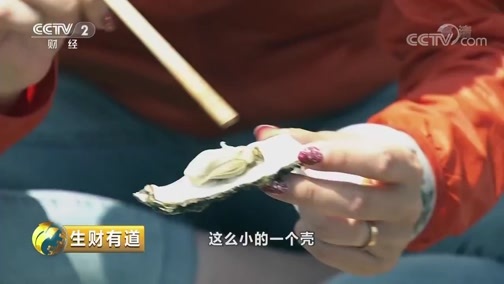 生财有道 《生财有道》 20180924 生态中国系列（沿海行）：河北乐亭海边财
